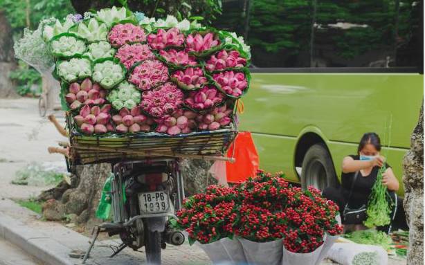 Floral arrangements background