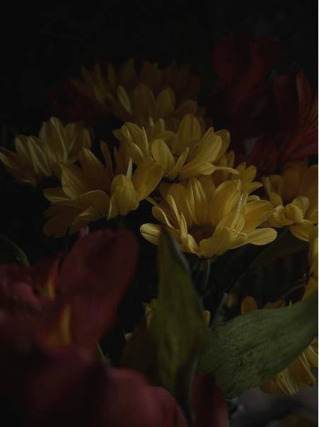 Studio arrangement