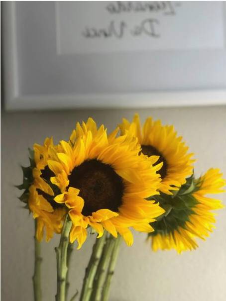 Wedding florals